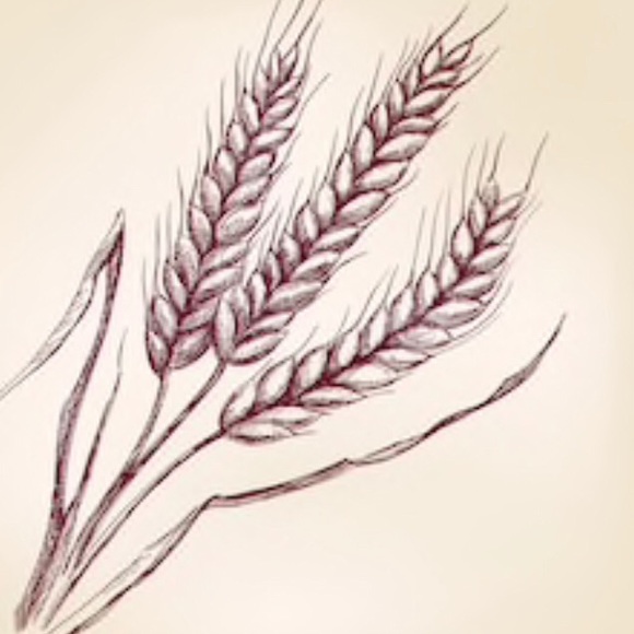 Meet your Posher, Ashley - Picture 1 of 1